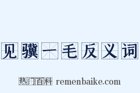 见骥一毛反义词是什么意思的图片